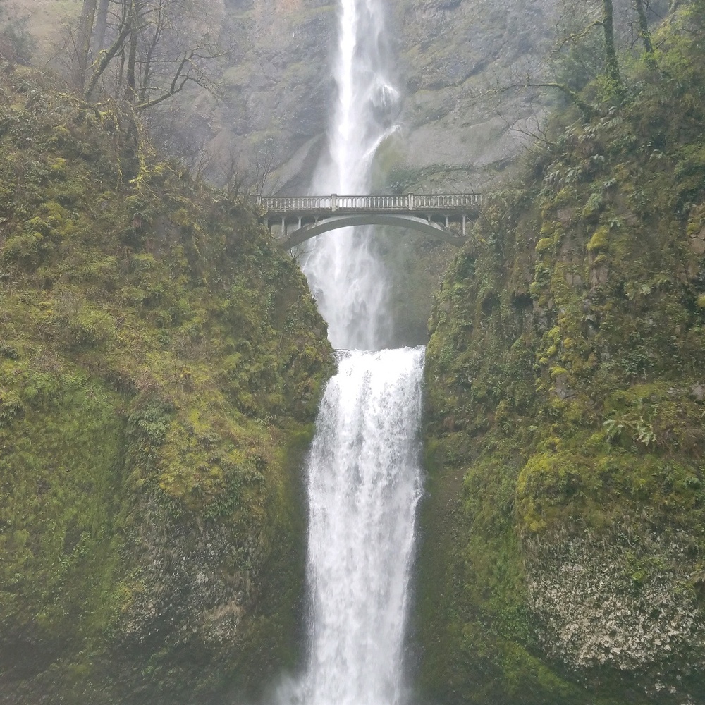 Meet your Posher, Melanie